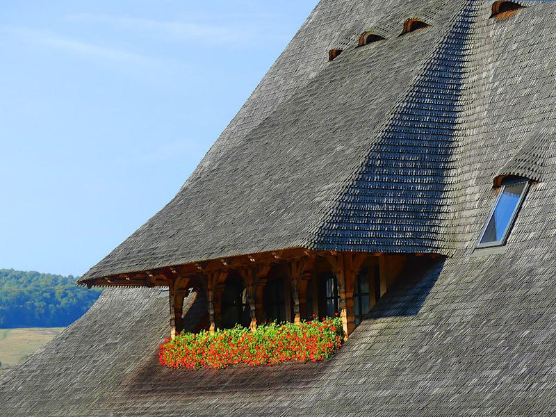 Details, Bârsana Monastery