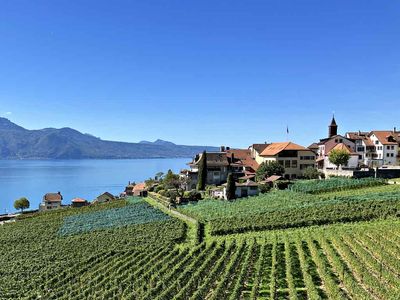 Lavaux Vineyards