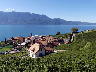 Lavaux Vineyards