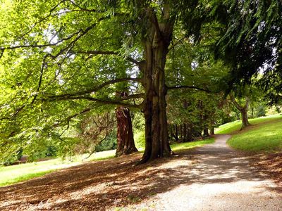  Hunegg Castle Garden