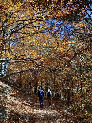Vitosha National Park