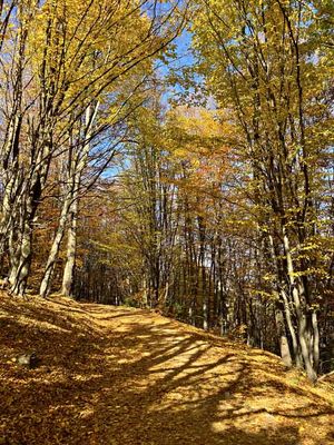 Vitosha National Park
