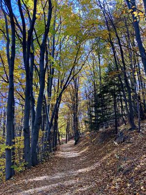 Vitosha National Park