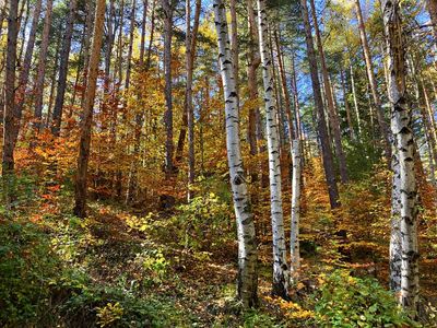 Vitosha National Park