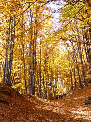 Vitosha National Park
