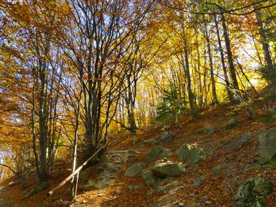 Vitosha National Park