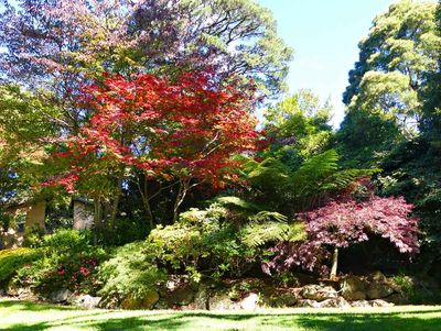 Windyridge Garden