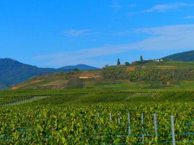 Alsatian Wine Route