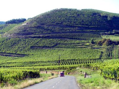 Alsatian Wine Route