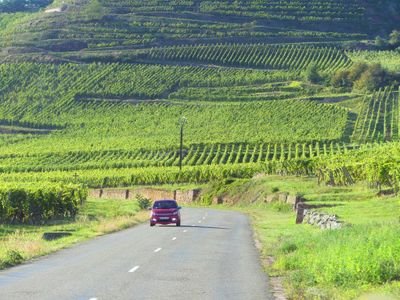 Alsatian Wine Route