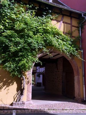 Eguisheim  