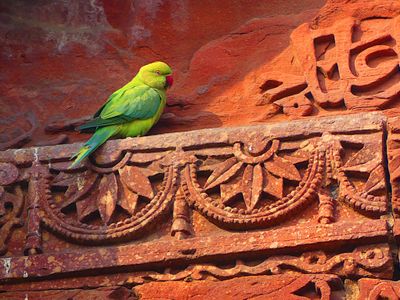 Qutub Minar Complex