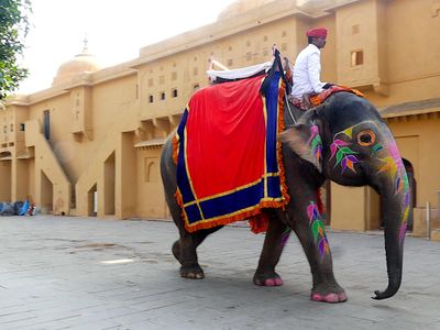 Amber Fort