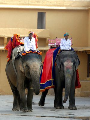 Amber Fort