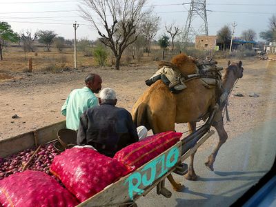 On the Road from Mandawa to Bikaner