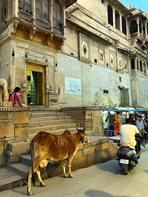 Jaisalmer 