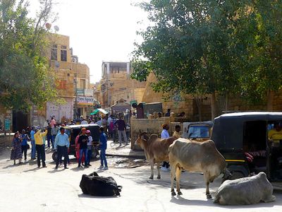 Jaisalmer 