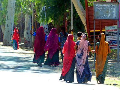 Colors of Rajasthan