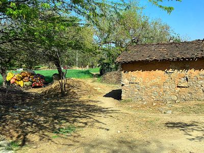 Countryside, Rajasthan