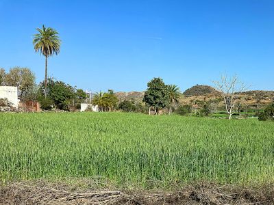 Countryside, Rajasthan