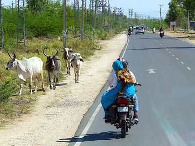 Colors of Rajasthan