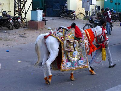 On the road from Agra to Jaipur