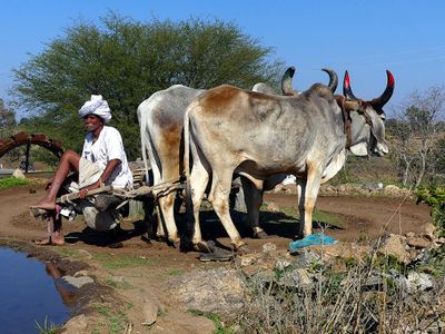 Jodhpur_Ranakpur