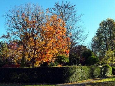 Autumn 2024, Canberra, ACT