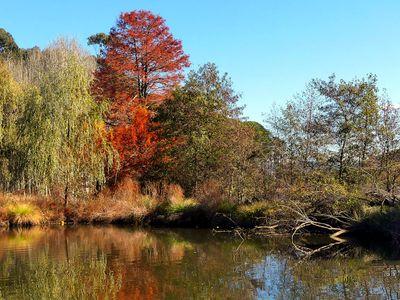 Autumn 2024, Canberra, ACT 