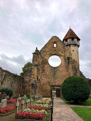  Cârța Monastery