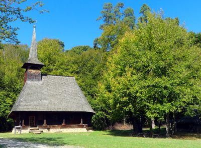 ASTRA Open Air Museum