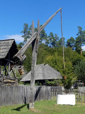 P1020016.jpg