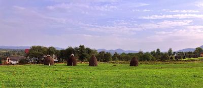 Breb, Maramures