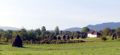 Breb, Maramures