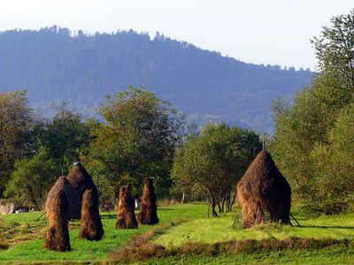 Breb, Maramures
