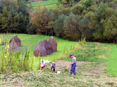 Breb, Maramures