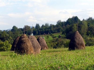 Breb, Maramures