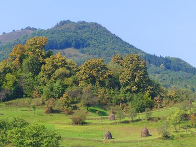 Landscape, Poienile Izei