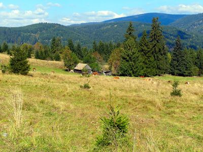 Biertan Village