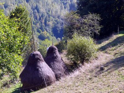 Walking Magura and Pestera Villages