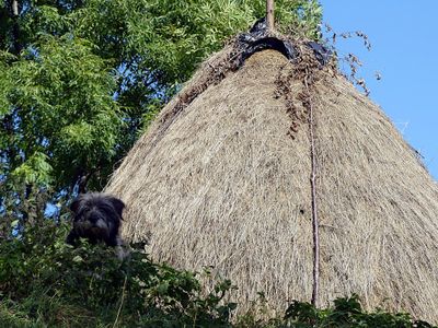 Walking Magura and Pestera Villages