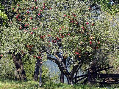 Walking Magura and Pestera Villages