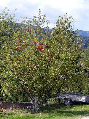 Walking Magura and Pestera Villages