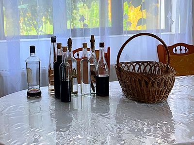 Fruit brandy (Palinca)