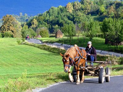 Maramureș 