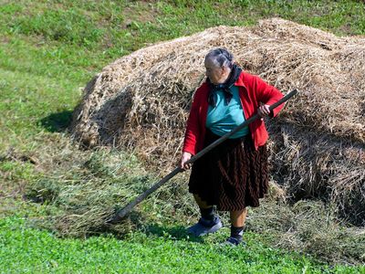Hay Making by Hand