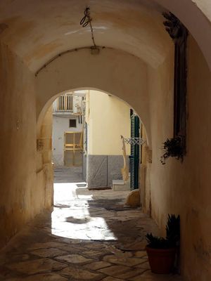 g13/61/1159561/3/175176492.b66f0651.JPEG