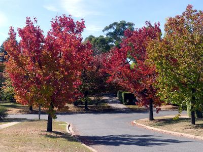 Autumn 2025, Canberra, ACT