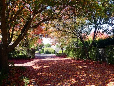 Autumn 2025, Canberra, ACT