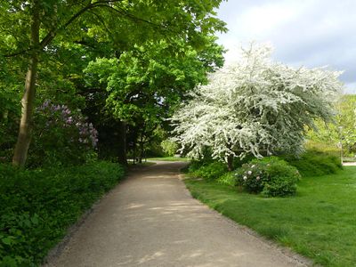 Ørstedsparken
